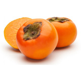 3 Mudas De Caqui Fuyu Enxertado ! Frete Grátis