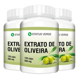 3 Potes Extrato De Oliveira Em