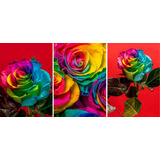 3 Quadros Decorativos Placas Flores Multicolor