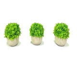 3 Suculentas Artificiais Kit Plantinhas Com Mini Vasinhos