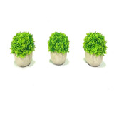 3 Suculentas Artificiais Mini Vasinhos Vasos Plantinhas Kit