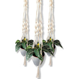 3 Suporte De Plantas Em Macrame