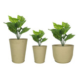 Decorativo