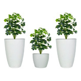 3 Vasos Grafiato Luxo Plantas Premium