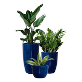 3 Vasos Lisos Estilo Vietnamita Para Decoração De Ambiente