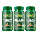 Metabolismo