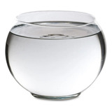 2l