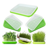 3 Bandejas Microverdes Dupla Camada Germinação Hidroponica