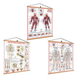 Medicina