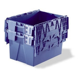 Organizadora