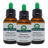 3 Extratos De Cardo Mariano silimarina 60ml Tintura Mãe Sabor Oliveira