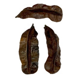 3 Favas De Aridan Africana Original Para Rituais Religiosos