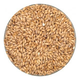 3 Kilos Malte Pilsen Best Maltz alemão 