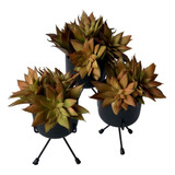 3 Kits De Suculenta Artificial Folhagem Realista P decoração
