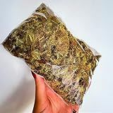 3 Litros - Musgo Verde - Desidratado Decoração Arranjo Flor