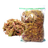 3 Litros Musgo Esfagno Orgânico Orquídeas Substrato Sphagnum