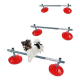 3 Saltos De 20cm Para Adestramento De Cachorro Agility