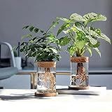 3 Unidades De Estações De Propagação De Plantas Conjunto De Terrário De Vidro De Propagação De Plantas Terrário De Plantas De Mesa Com Bandeja De Madeira Frascos De Propagação Presentes 1 