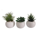 3 Vasos Arranjos Plantas Suculentas Artificiais P  Banheiro