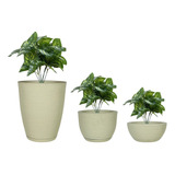 3 Vasos Para Planta Grande Cone