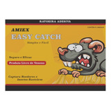 Easycatch