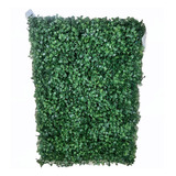 30 Placa Grama Artificial Grande 40x60 Buchinho Muro Inglês