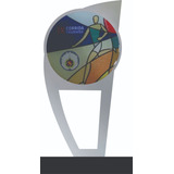 30 Troféus Personalizados Em Acrílico Resinado 81 Medalhas