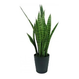 20cm