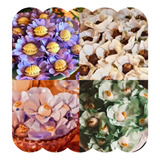 Fiori
