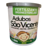 Vicente