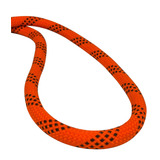 Plasmodia