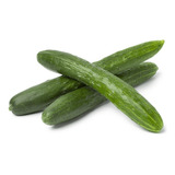 340 Sementes De Pepino Japones Hiroshi 10g