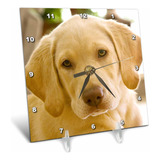 3drose Dc 1 Oregon Keizer Labrador Retriever Dog Us38 Rbr