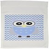 3dRose Fl-130297-1 Coruja Azul No Menino Chevron-jpg Bandeira De Jardim- 30 X 45 Cm