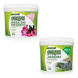 Jardim
