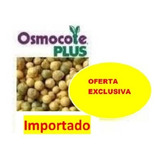 Orquídea