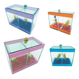 3un Aquário Beteira Dupla Decorado 17x9x13 1 9l Peixes Betas