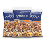 3x Granola Tradicional Ws Naturais 500g