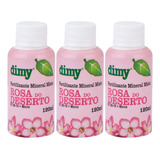 Dimy