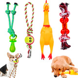 4 Brinquedo Pet Corda Frango Resistente Interativo Cachorro