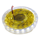 Leds