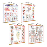 4 Mapas Banner: Corpo Humano, Sistema