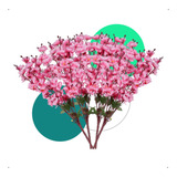 Planta