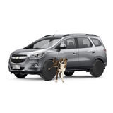 Cachorro