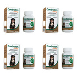 4 Condroton Regenerador Articular Vetnil Comprimidos 1000mg