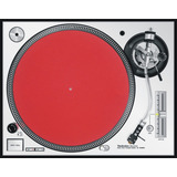 Vinil