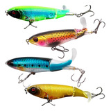 Robalo
