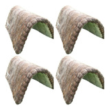 Escura