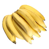 4 Mudas De Banana Da Terra Maranhão Gigante