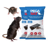 4 Placa Pega Cola Rato Ratazana Camundongo Forte Adesiva